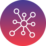 <p>Cetosis Acelerada</p>